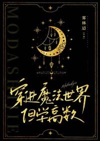 穿到魔法世界的