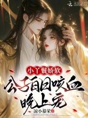 公主的小丫鬟