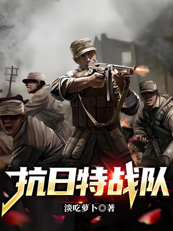 抗日战争特战队电视剧