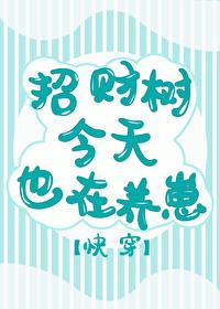 招财树今天也在养崽宗居崇