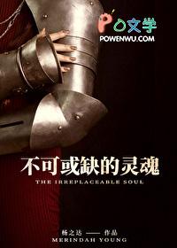 不可或缺的灵魂西幻全文阅读