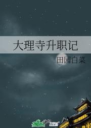 大理寺官职表