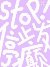 stop停止发癫排雷