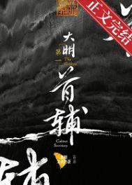 大明第一首辅在线阅读
