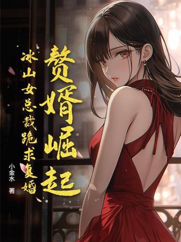 赘婿女主角被
